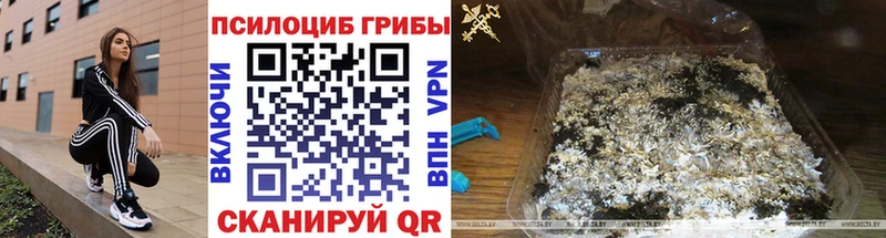 Галлюциногенные грибы Magic Shrooms  Тавда 
